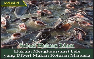 Detail Foto Kotoran Manusia Nomer 35