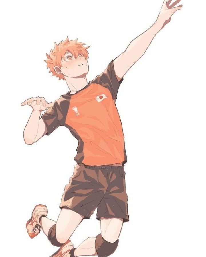 Detail Hinata Haikyuu Fanart Nomer 2