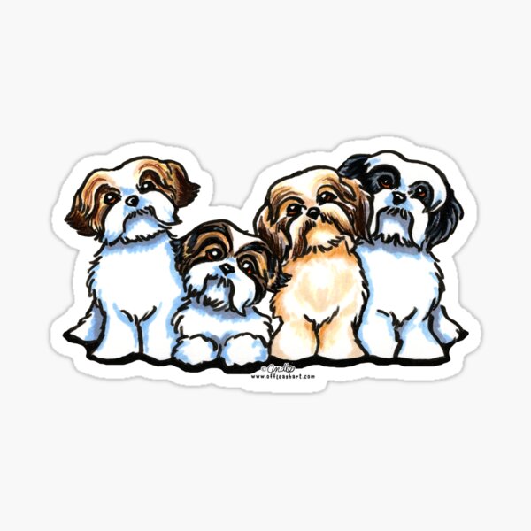 Detail Shih Tzu Zeichnung Nomer 23