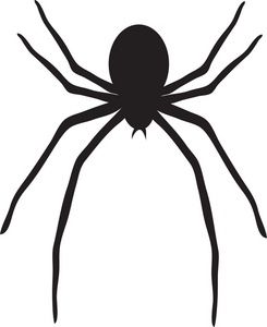 Detail Spider Clipart Nomer 13