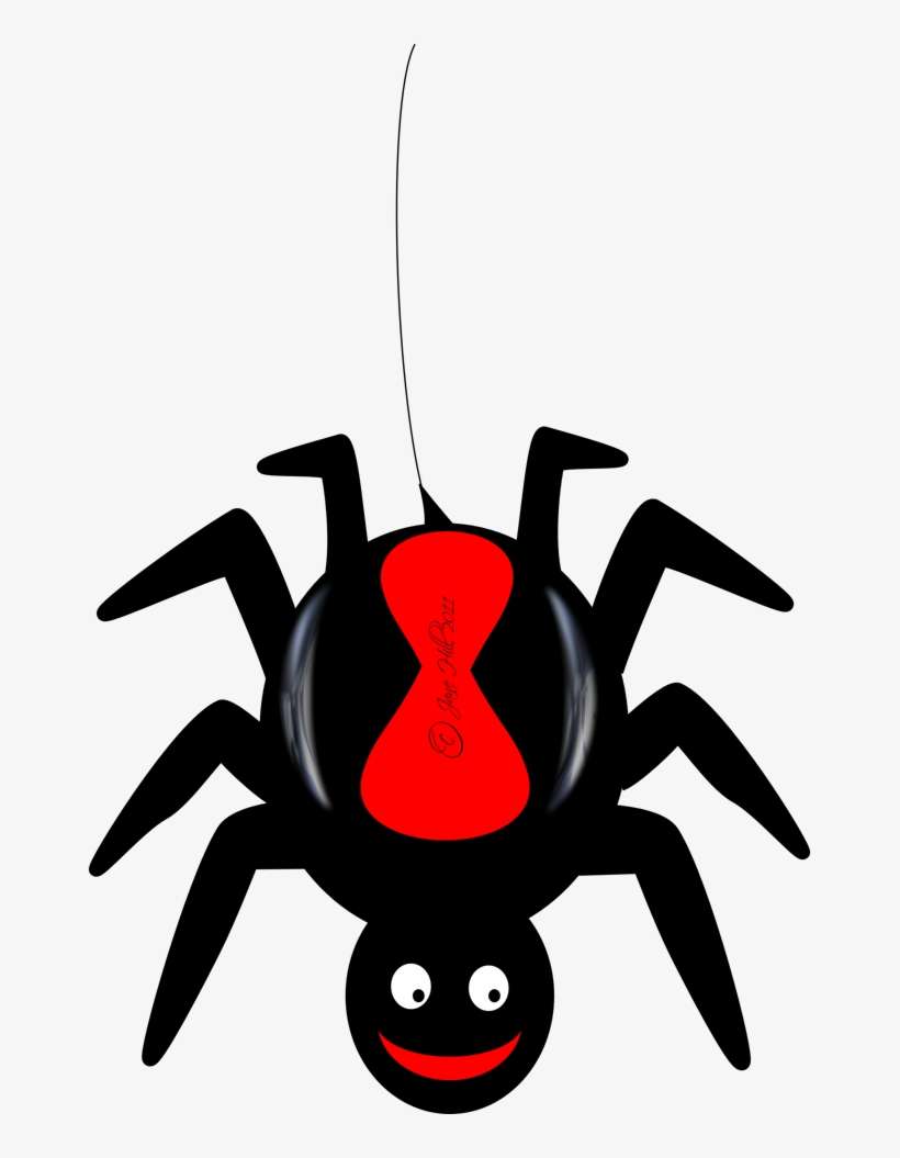 Detail Spider Clipart Nomer 6