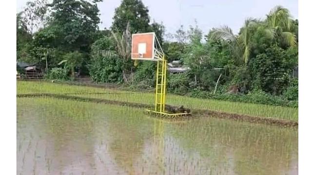 Detail Foto Lapangan Basket Nomer 51