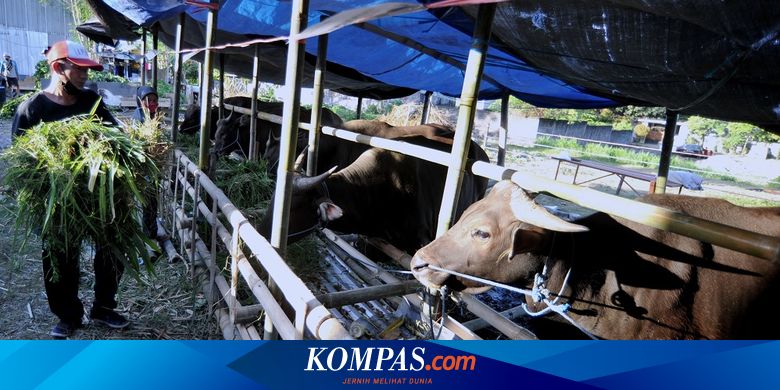 Detail Foto Ucapan Idul Adha Nomer 23