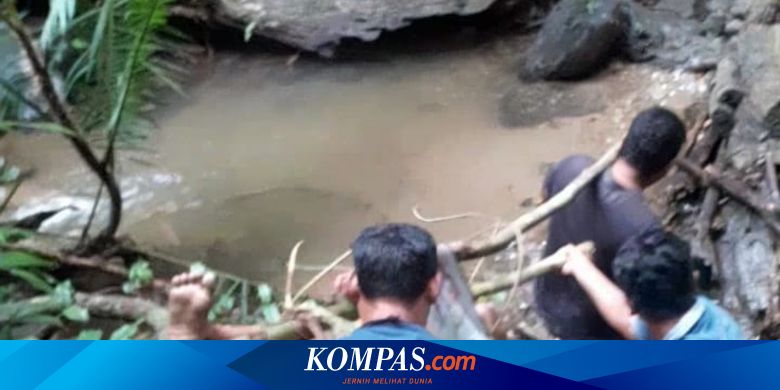 Detail Foto Ular Berkepala Manusia Di Pati Jawa Tengah Nomer 7