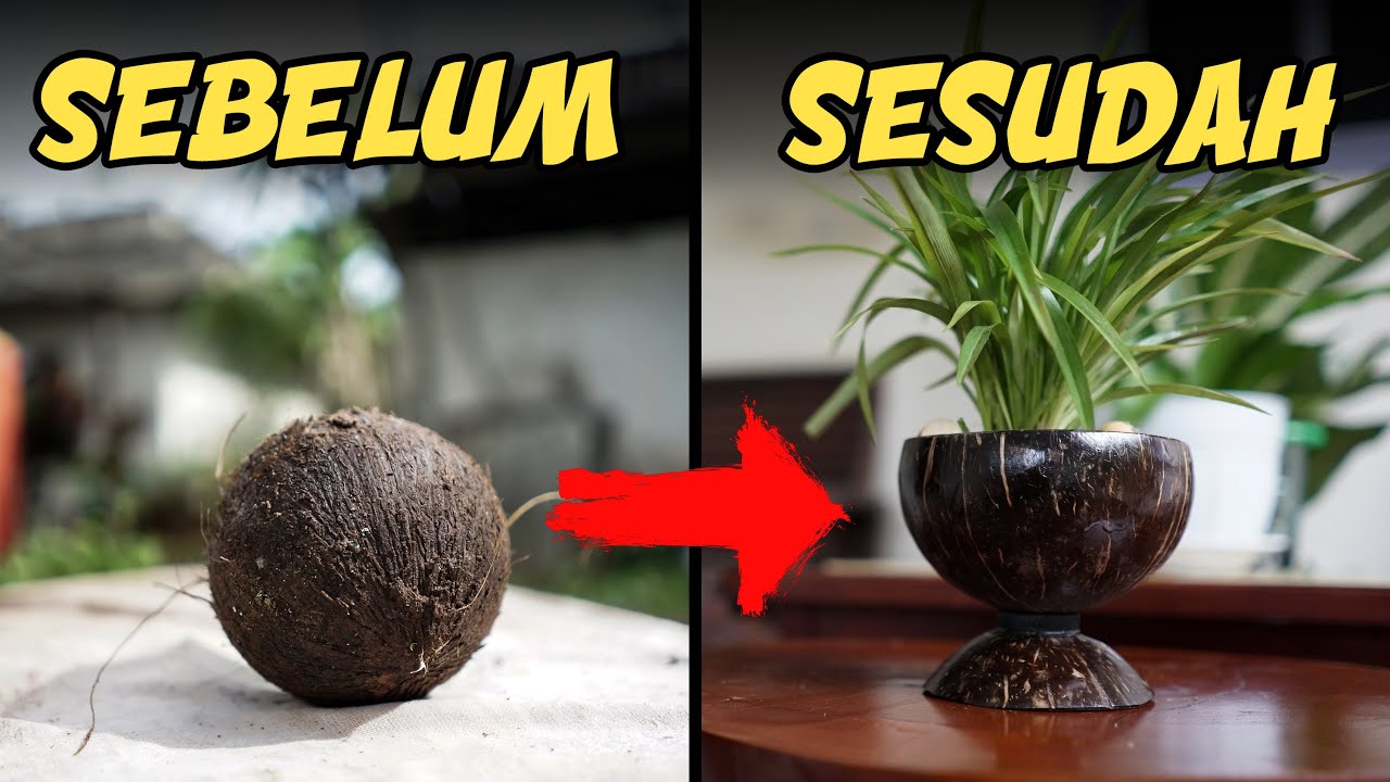 Detail Foto Vas Bunga Dari Batok Kelapa Nomer 38