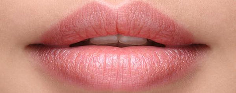Detail Foundation Untuk Bibir Nomer 52
