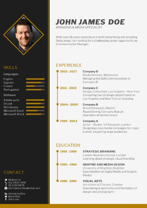 Detail Free Cv Template Nomer 45