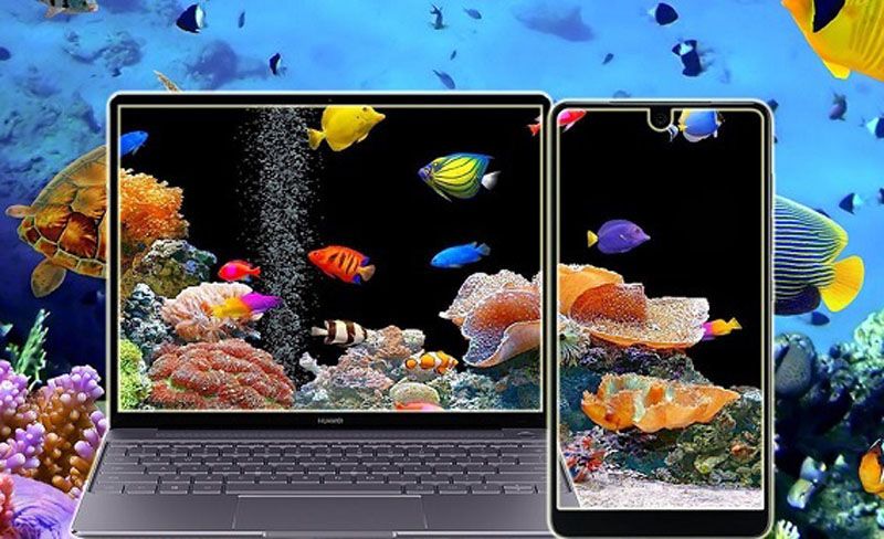 Detail Free Download Wallpaper 3d Bergerak Untuk Laptop Nomer 12