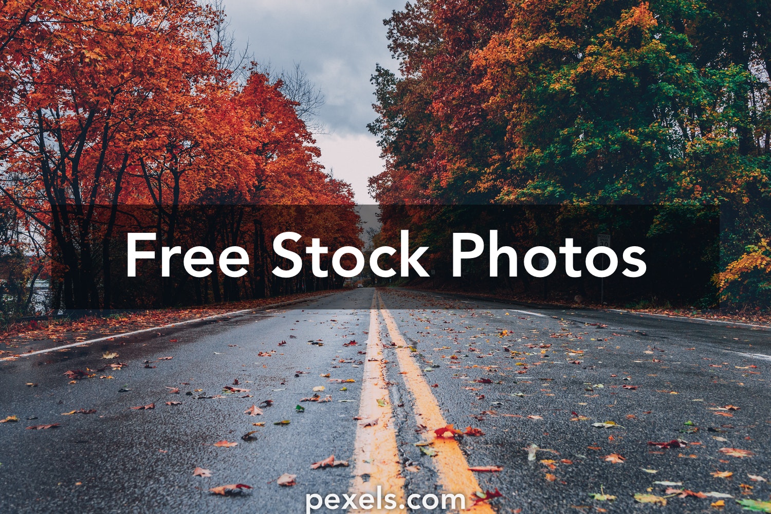 Free Images Download No Copyright - KibrisPDR