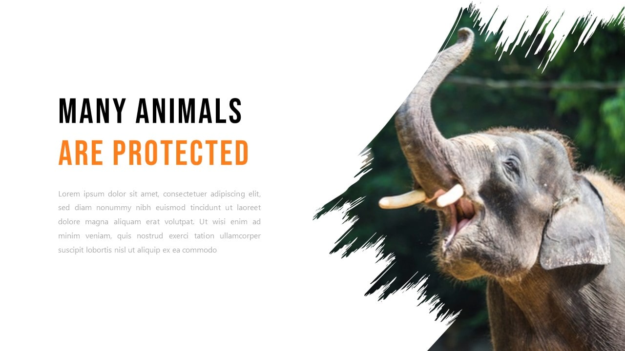 Detail Free Ppt Template Animals Nomer 27