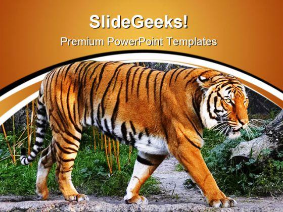 Detail Free Ppt Template Animals Nomer 39