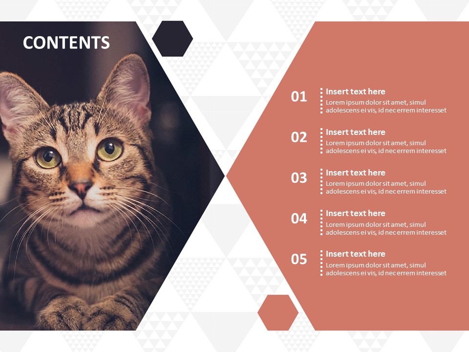 Detail Free Ppt Template Animals Nomer 42