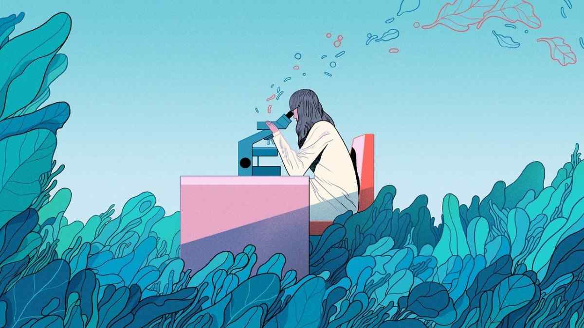 Detail Fungsi Gambar Ilustrasi Nomer 20