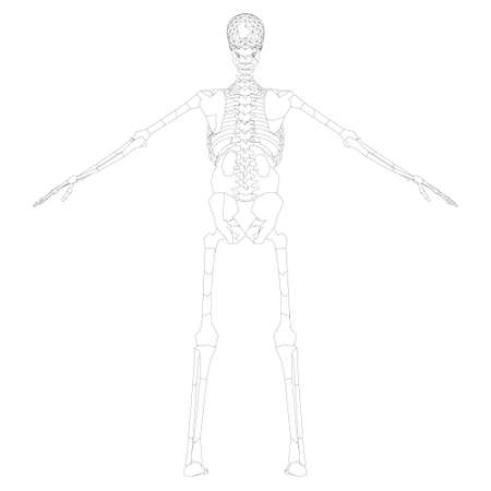Detail Gambar 3d Manusia Full Body Nomer 27