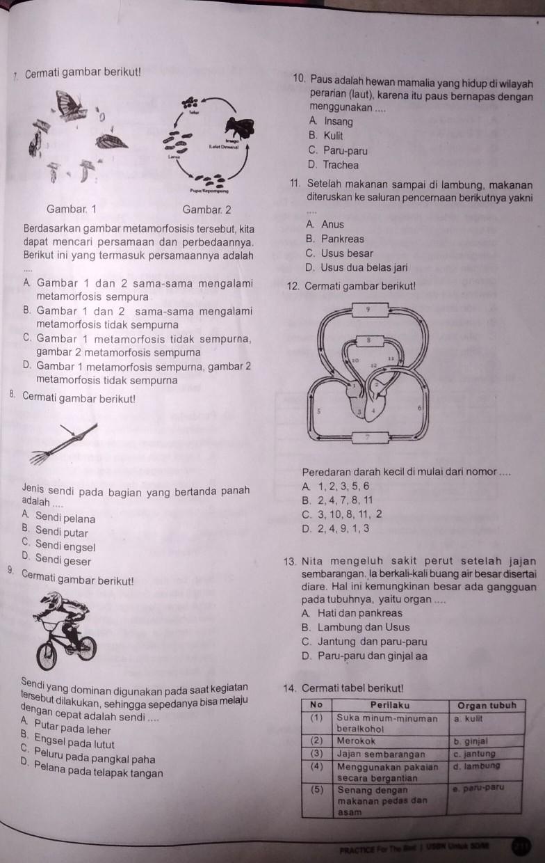 Detail Gambar 4 Dimensi Yang Bisa Di Putar Nomer 43