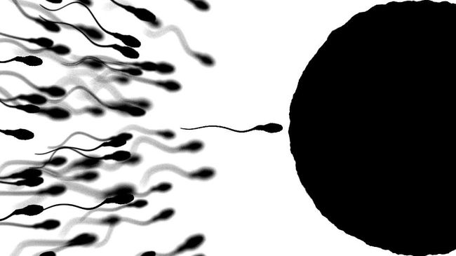 Detail Gambar Air Sperma Nomer 34