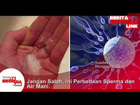 Detail Gambar Air Sperma Nomer 36