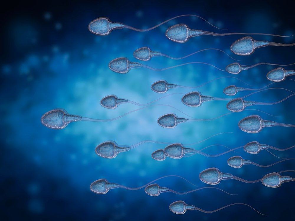 Detail Gambar Air Sperma Nomer 50