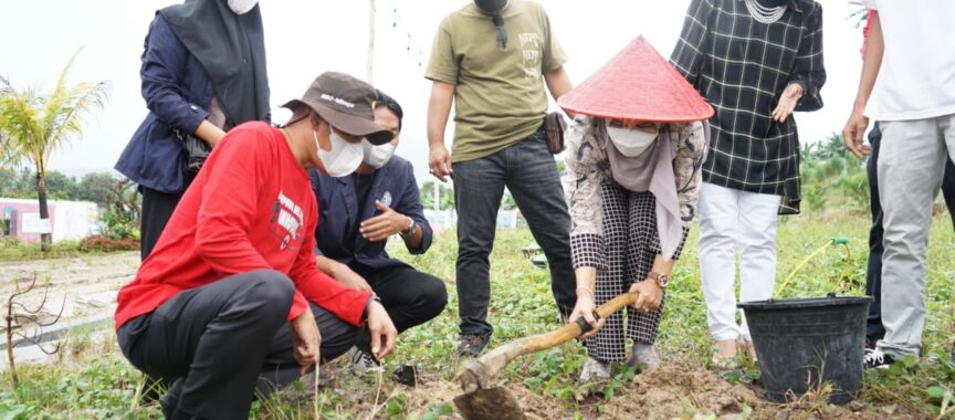 Detail Gambar Ajakan Untuk Penghijauan Nomer 15