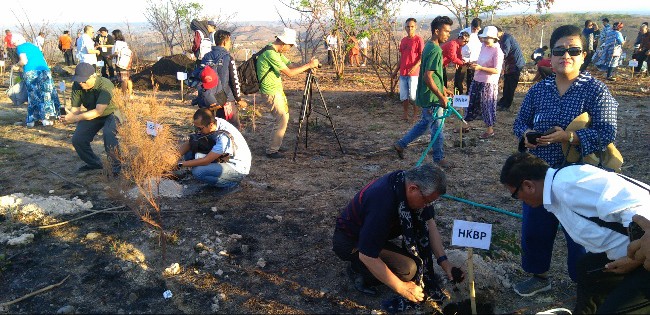 Detail Gambar Ajakan Untuk Penghijauan Nomer 33