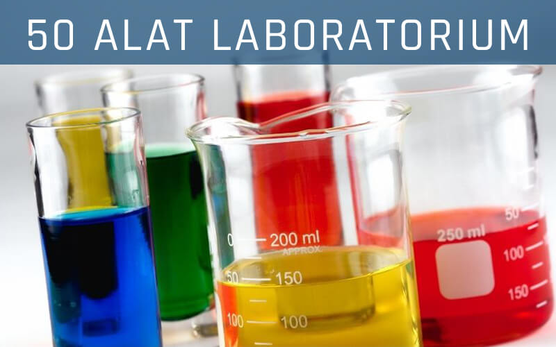 Detail Gambar Alat Alat Laboratorium Dan Fungsinya Nomer 21