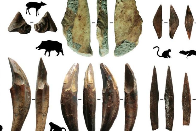 Detail Gambar Alat Alat Manusia Purba Pada Zaman Batu Nomer 37