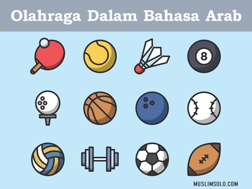 Detail Gambar Alat Alat Olahraga Beserta Namanya Nomer 27