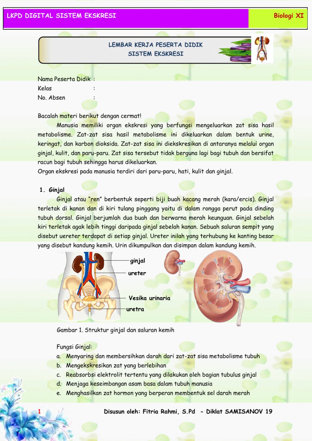 Detail Gambar Alat Ekskresi Nmanusia Nomer 22