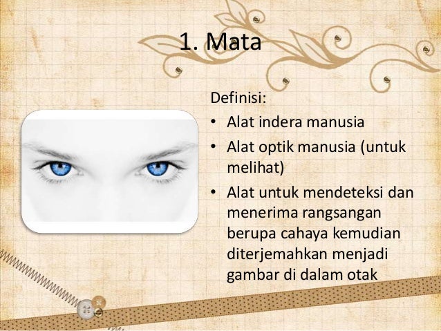 Detail Gambar Alat Inderamanusia Nomer 12