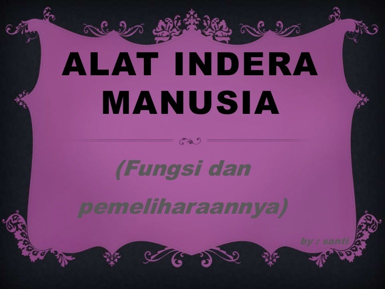 Detail Gambar Alat Inderamanusia Nomer 13