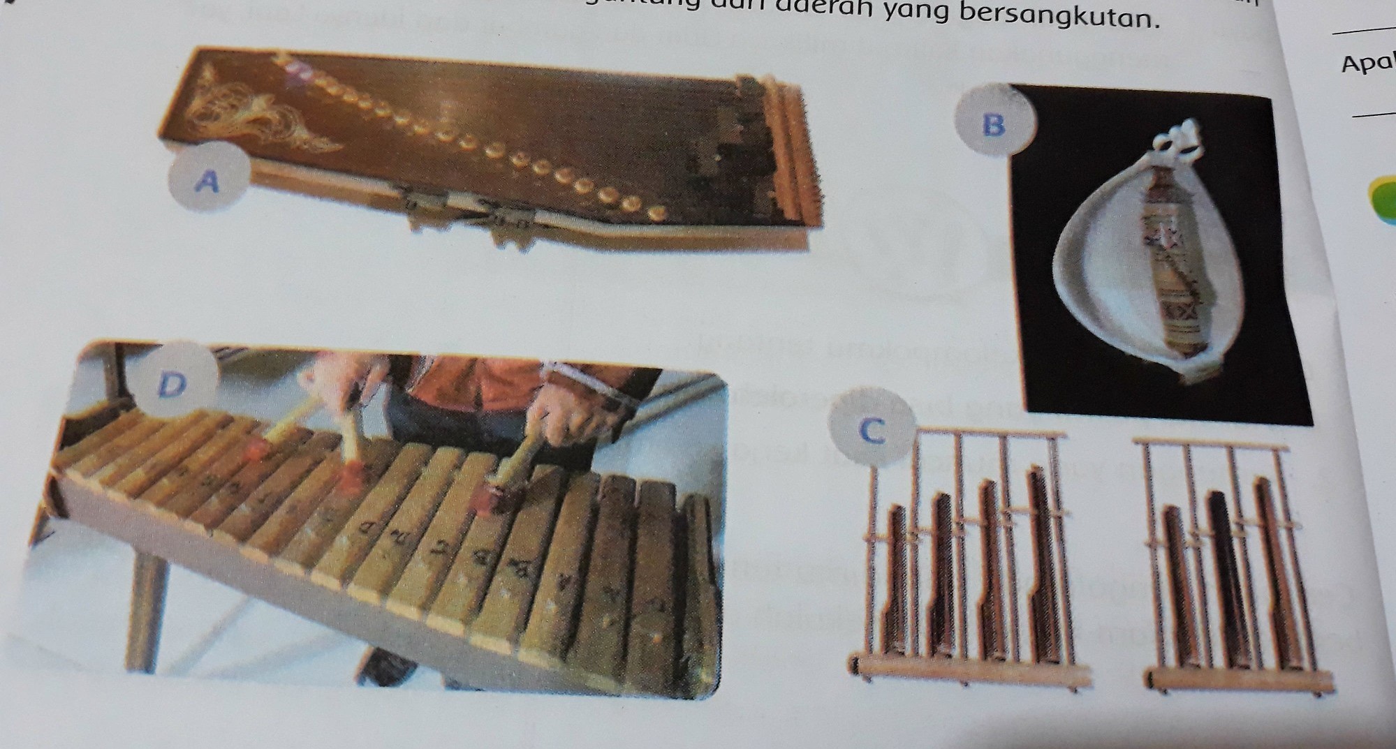 Detail Gambar Alat Musik Beserta Asal Daerahnya Nomer 12