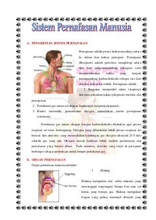 Detail Gambar Alat Pernapasan Manusia Beserta Keterangan Nomer 35