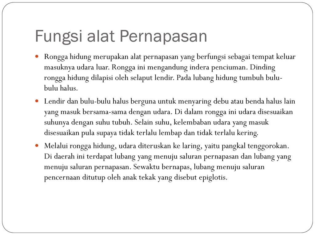 Detail Gambar Alat Pernapasan Manusia Dan Fungsinya Nomer 46