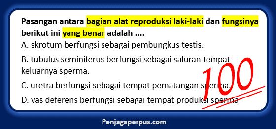 Detail Gambar Alat Reproduksi Pria Dan Fungsi Nomer 54