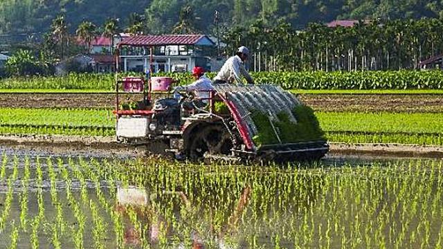 Detail Gambar Alat Traktor Padi Beserta Penjelasanya Nomer 26