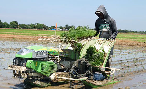 Detail Gambar Alat Traktor Padi Beserta Penjelasanya Nomer 34