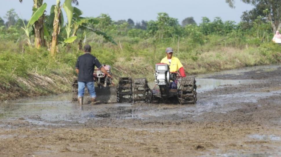 Detail Gambar Alat Traktor Padi Beserta Penjelasanya Nomer 36