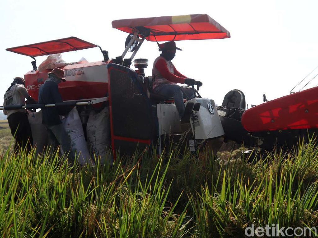 Detail Gambar Alat Traktor Padi Beserta Penjelasanya Nomer 43