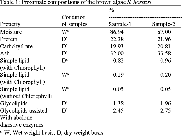 Detail Gambar Alga Sargassum Nomer 40