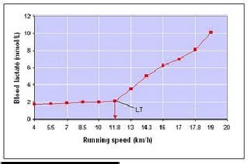 Detail Gambar Ambang Non_aerobik Nomer 12