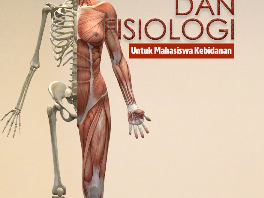 Detail Gambar Anatomi Fisiologi Manusia Nomer 13