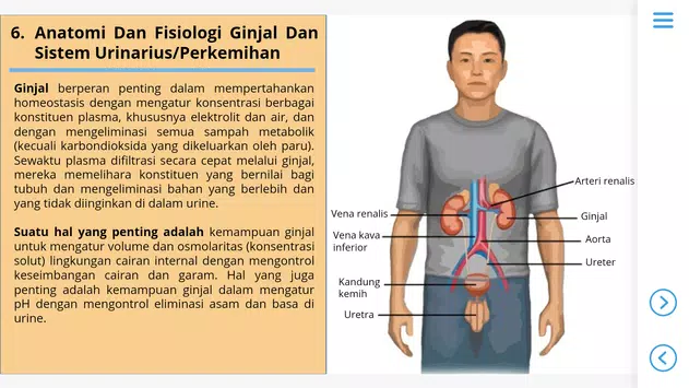 Detail Gambar Anatomi Fisiologi Manusia Nomer 27