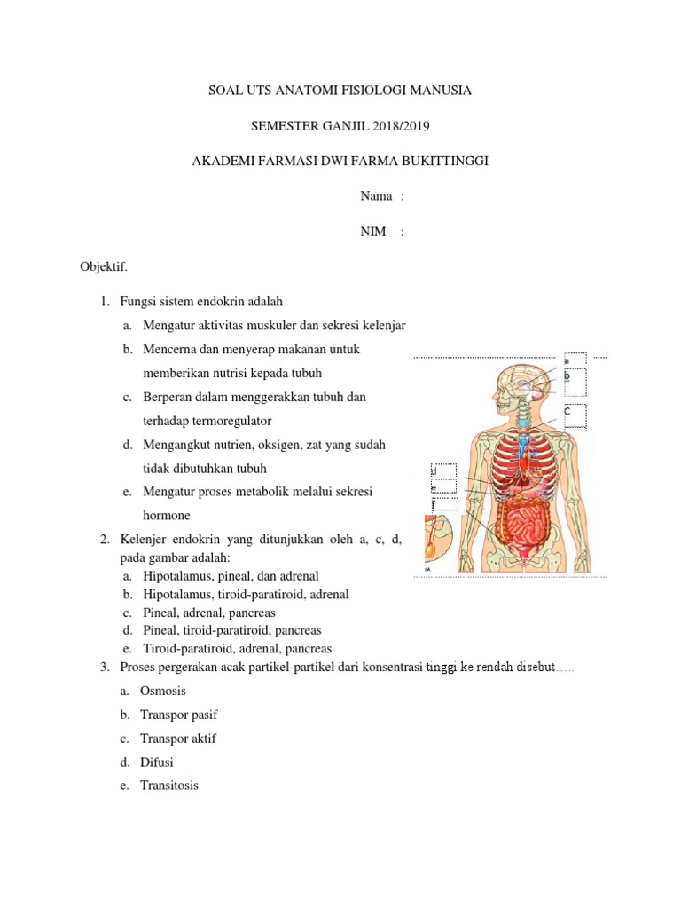 Detail Gambar Anatomi Fisiologi Manusia Nomer 34