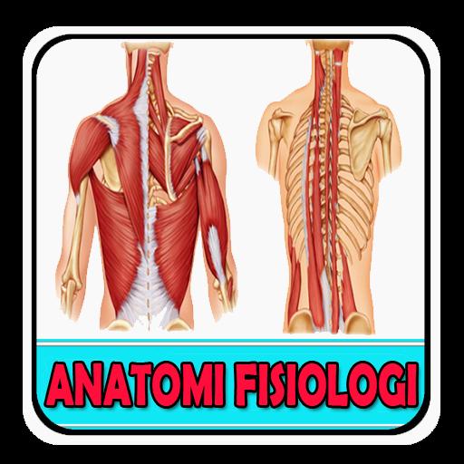 Detail Gambar Anatomi Fisiologi Manusia Nomer 37