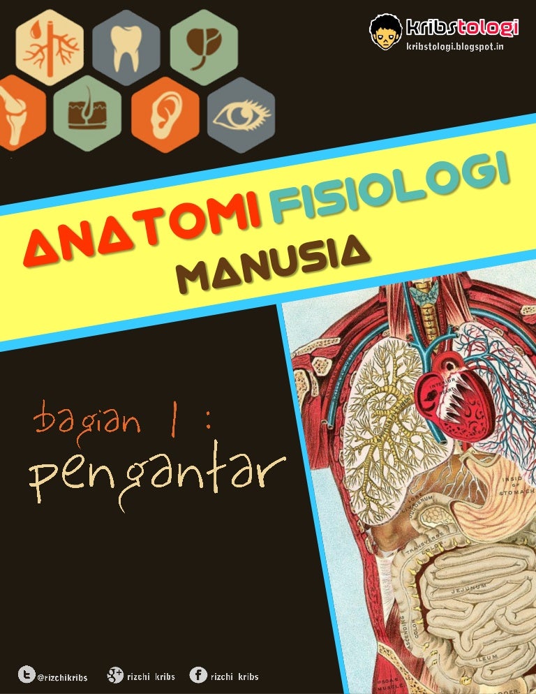 Detail Gambar Anatomi Fisiologi Manusia Nomer 42