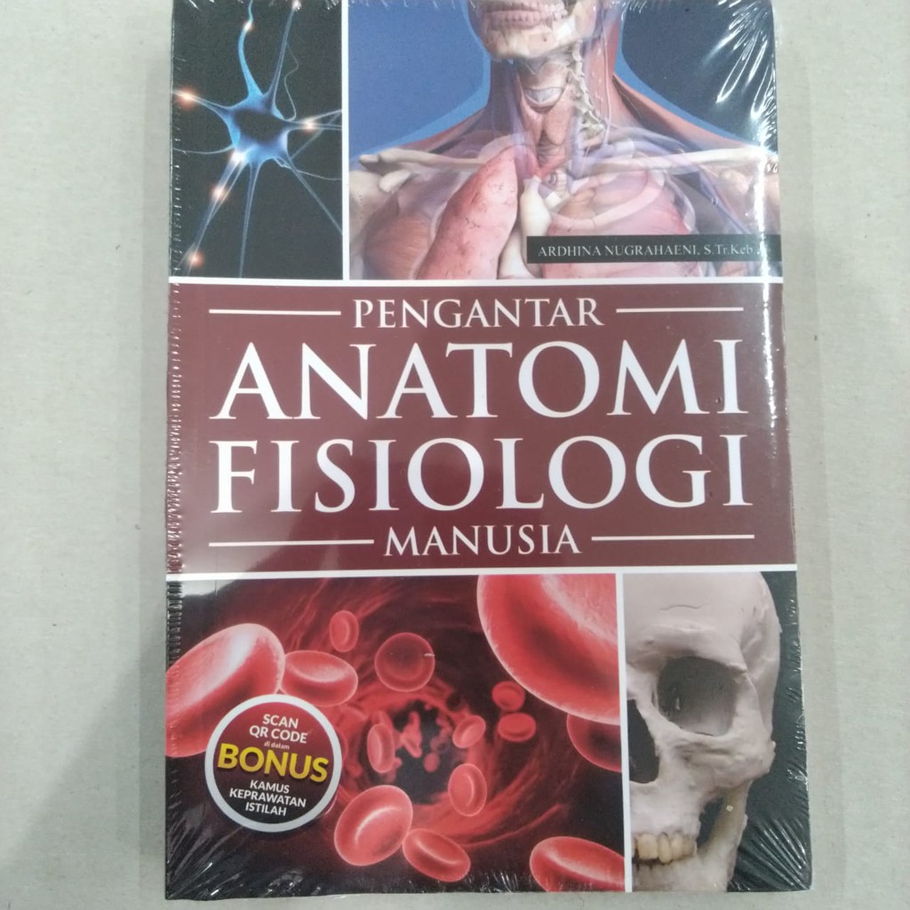 Detail Gambar Anatomi Fisiologi Manusia Nomer 43