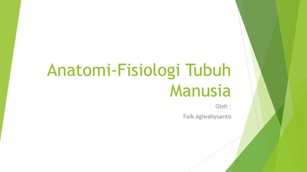 Detail Gambar Anatomi Fisiologi Manusia Nomer 45