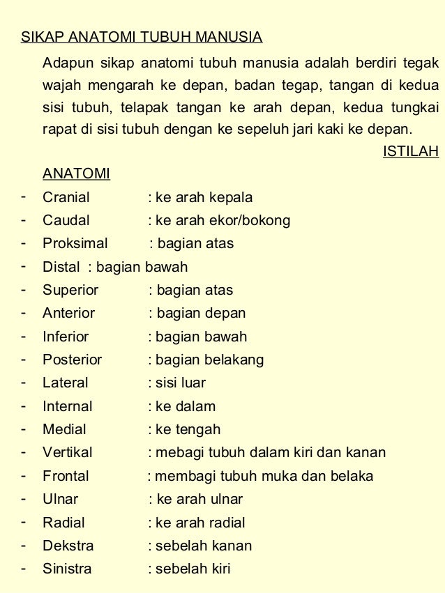 Detail Gambar Anatomi Fisiologi Manusia Nomer 47