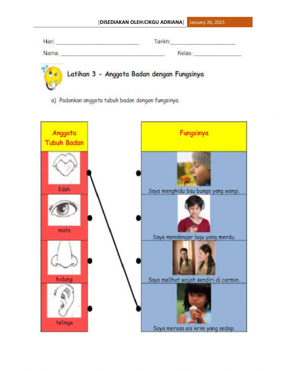 Detail Gambar Anggota Tubuh Dan Fungsinya Nomer 2