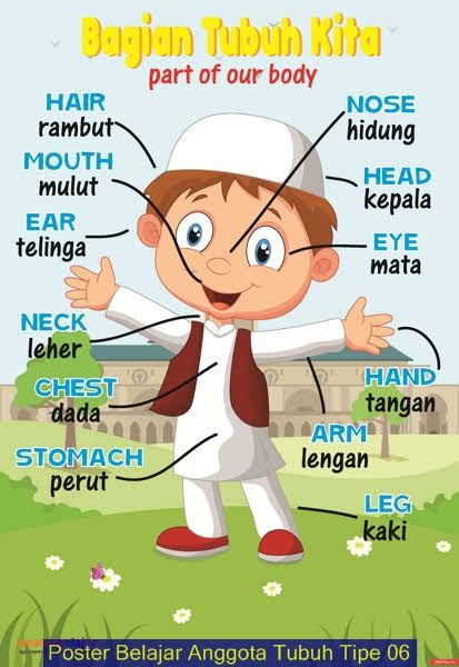 Gambar Anggota Tubuh Manusia Kartun - KibrisPDR